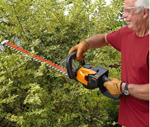 Trimming Hedges with Cordless Hedge Trimmer